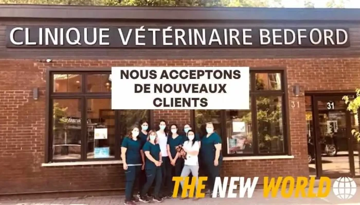 Clinique Veterinaire Bedford Inc All - Bedford