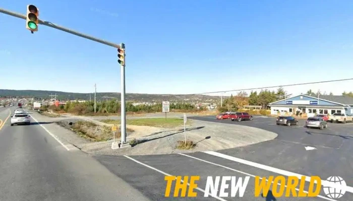 Co-operators - William Dooley, Agent - Carbonear