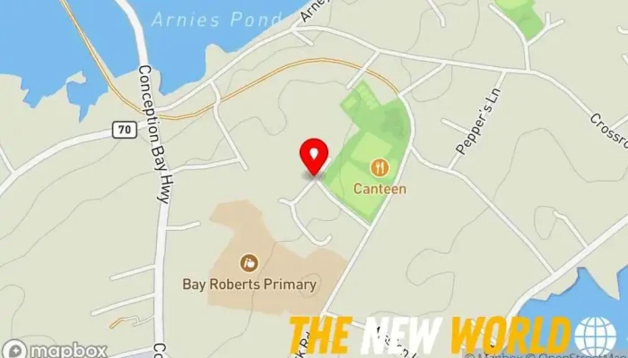 map of CollinsTech NL - Drone Aerial Photography and Home Tech Services Aerial photographer, Home automation company, Security system installation service, Store in Bay Roberts