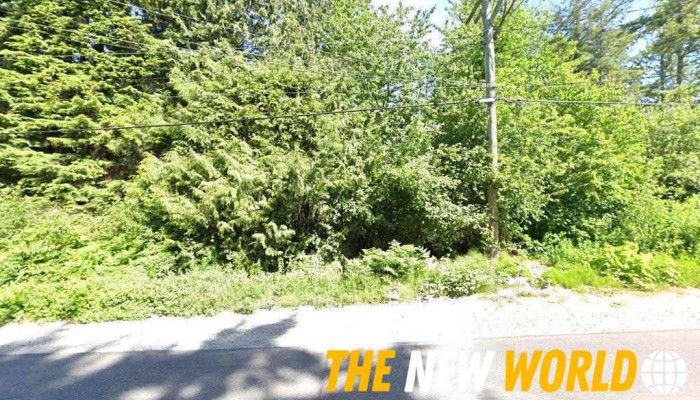 Darkwood Consulting - Gibsons