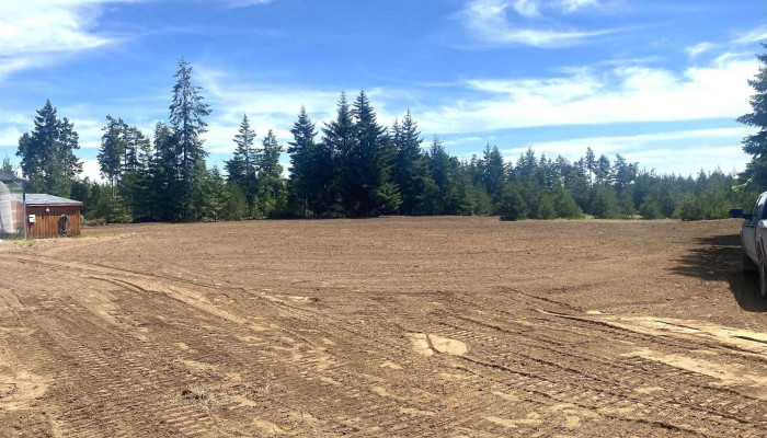 Db excavation - Denman Island