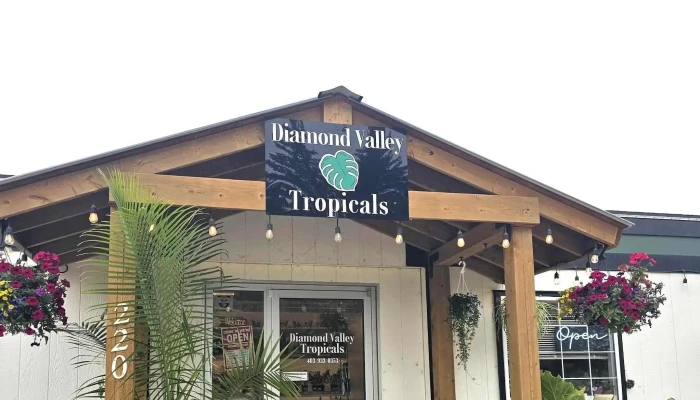 Diamond Valley Tropicals -  Plant Nursery - Diamond Valley