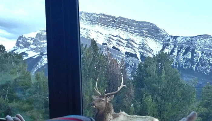 Discover Banff Tours -  Address - Banff