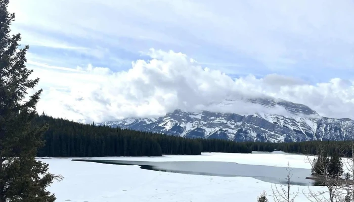 Discover Banff Tours -  Comments - Banff