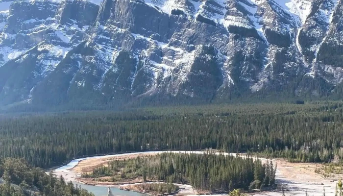 Discover Banff Tours -  Latest - Banff