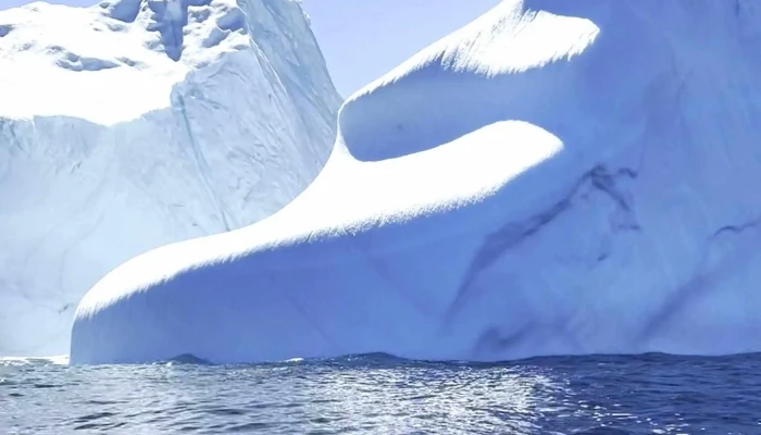Discovery Sea Adventure Tours -  Boat Tour Agency - Bonavista
