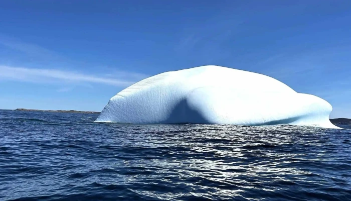 Discovery Sea Adventure Tours - Bonavista