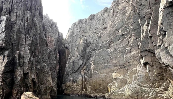 Discovery Sea Adventure Tours -  Discounts - Bonavista