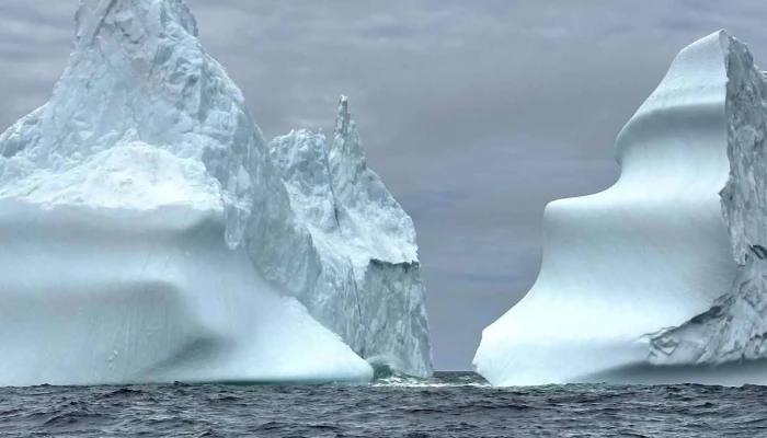 Discovery Sea Adventure Tours -  Latest - Bonavista