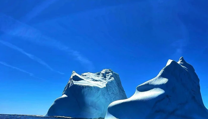 Discovery Sea Adventure Tours -  Prices - Bonavista