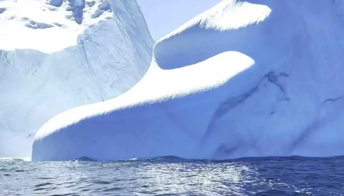 Discovery Sea Adventure Tours -  Videos - Bonavista