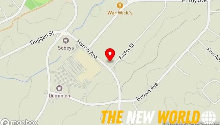 map of Doane Grant Thornton LLP Accounting firm, Business management consultant in Grand Falls-Windsor