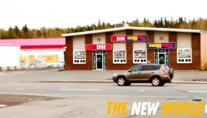 Dsi Stagg Signs & Graphics - Grand Falls-Windsor
