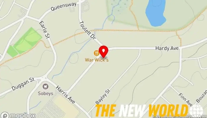 map of DSI Stagg Signs & Graphics Sign shop in Grand Falls-Windsor