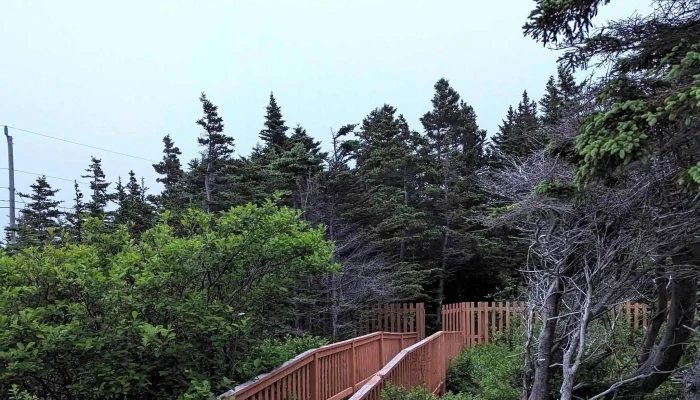 Elliston Municipal Park -  Videos - Elliston