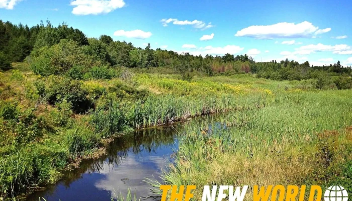 Environmental Ecosystems Inc - Greater Sudbury