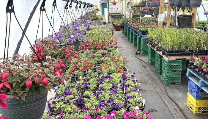 Faith Greenhouses -  All - Lewisporte