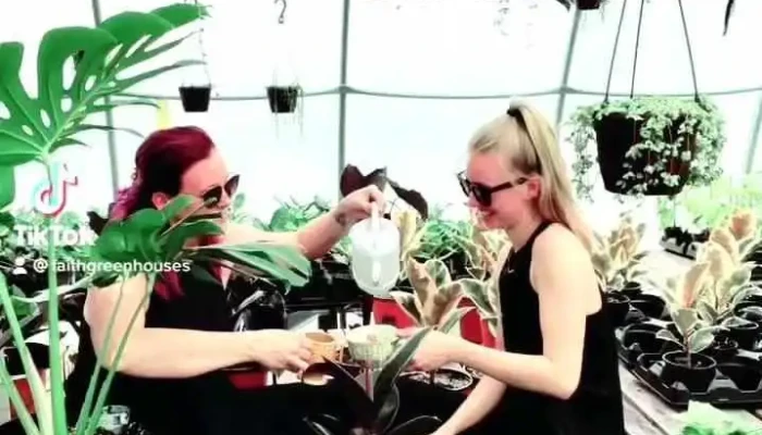 Faith Greenhouses -  Videos - Lewisporte