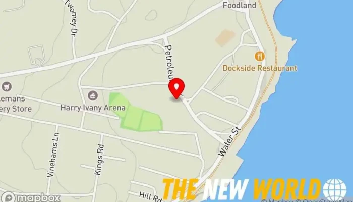 map of Freake's Ambulance Svc Ambulance service in Botwood