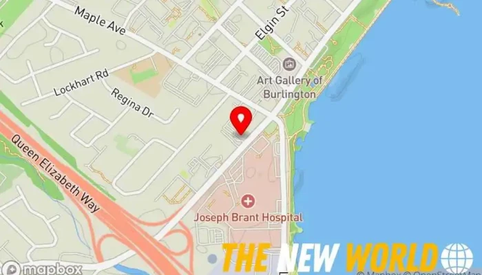 map of Froggo Business Services Consultant in Burlington