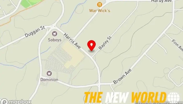 map of Grant Thornton Limited - Licensed Insolvency Trustees, Bankruptcy and Consumer Proposals Bankruptcy service in Grand Falls-Windsor
