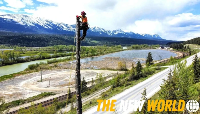 Green Leaf Tree Services Ltd - Invermere