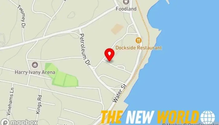map of Head To Tail Grooming Pet groomer in Botwood