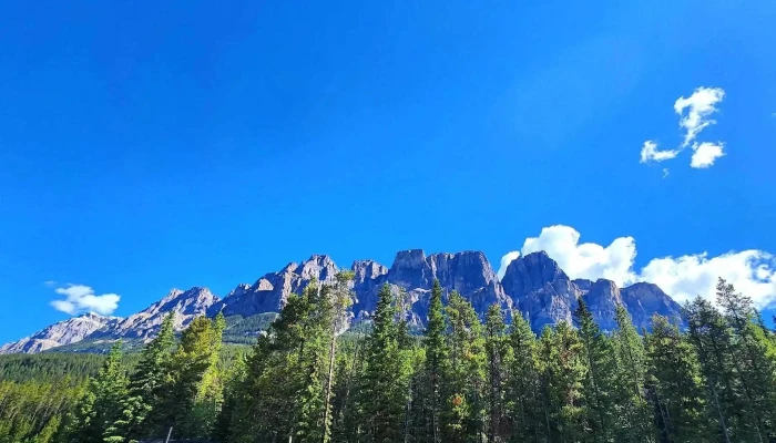 Hop On Banff Ltd Discounts - Banff