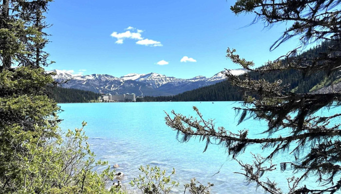 Hop On Banff Ltd Reviews - Banff