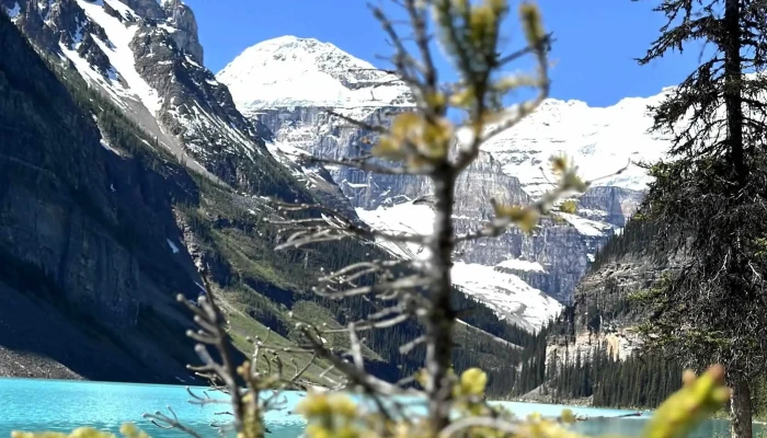 Hop On Banff Ltd Score - Banff