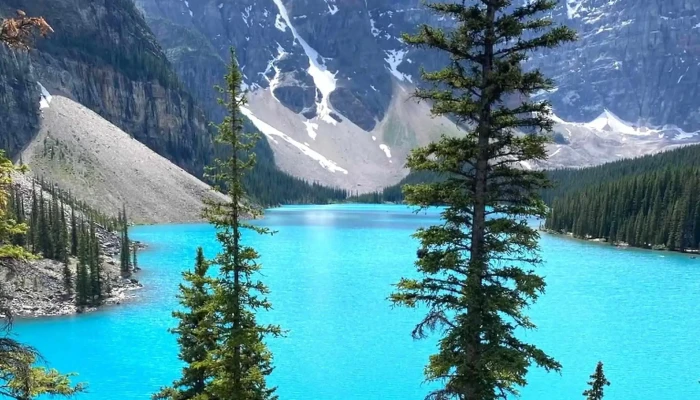 Hop On Banff Ltd Tour Operator - Banff