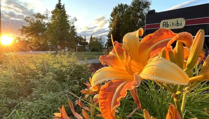 Iroquois Falls Town - Iroquois Falls