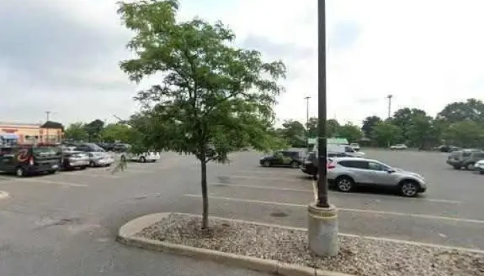 Jackson Networks -  Street View 360deg - Nepean