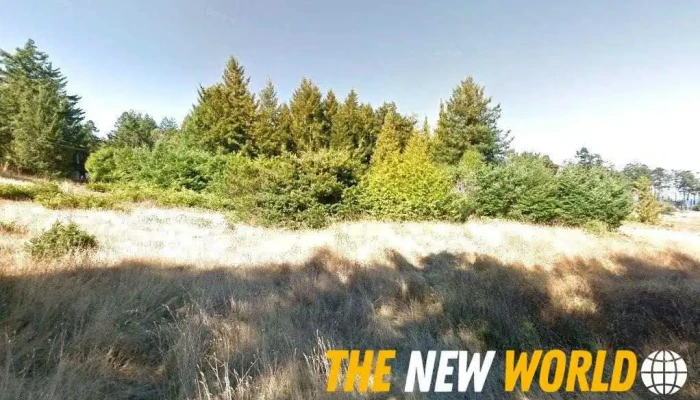 JumpFrame Digital Inc - Hornby Island