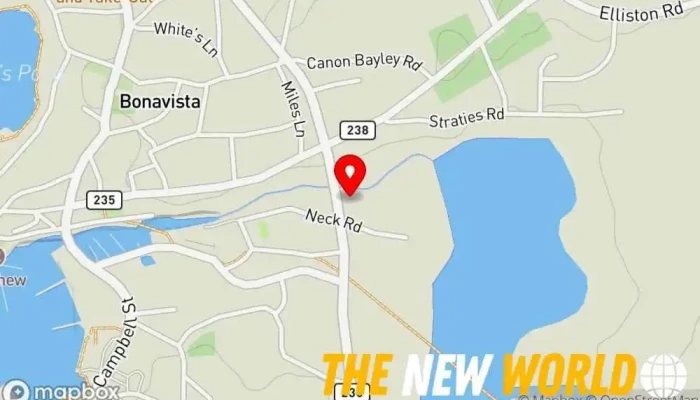 map of Kim's Flowers & Unique Gifts Florist, Professional services in Bonavista