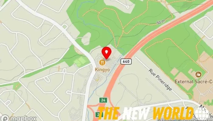 map of Kinésyne Consultants Naturopathic practitioner in Blainville