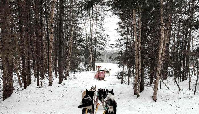 La Reine Et Le Millionnaire -  Videos - Baie-saint-paul