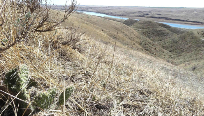Laidlaw Ranching Co Ltd All - Bow Island