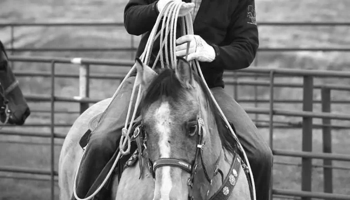 Last Chance Ranch -  Horse - Biggar