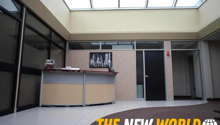 Macleancpa Inside - Nepean