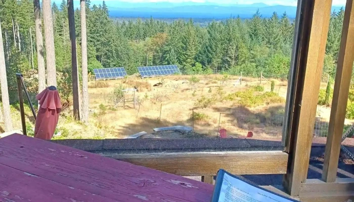Middle Mountain Mead - Hornby Island
