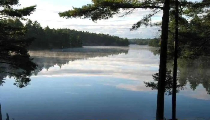 Muskoka Graphics - Gravenhurst