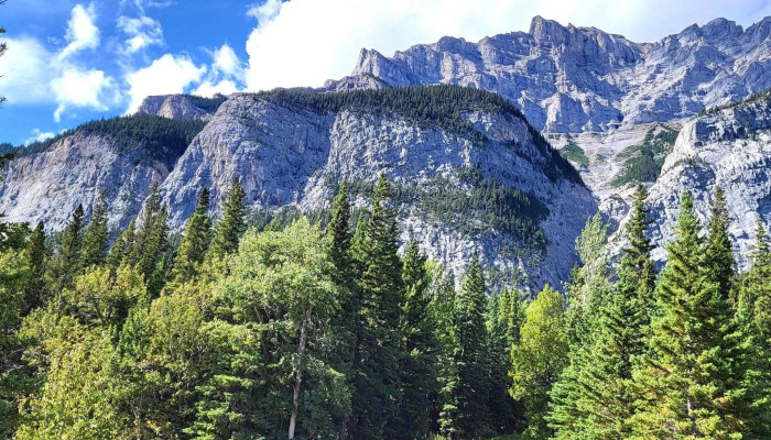 Open Top Touring -  Area - Banff