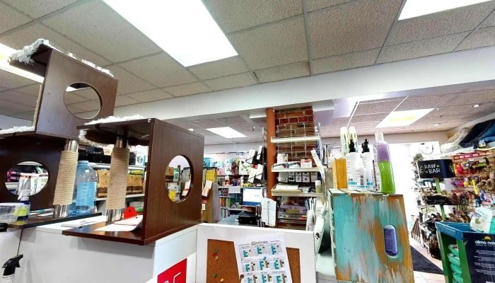 Pattes Griffes Bedford Street View 360deg - Bedford