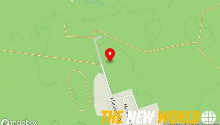map of PHD Consulting Business management consultant in Moncton