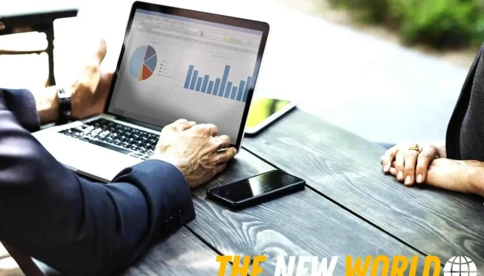 Red Bear Small Business Seo Services - Canada
