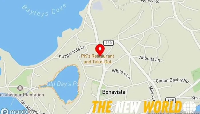 map of Rhonda Abbott's Hair Control Beauty salon in Bonavista