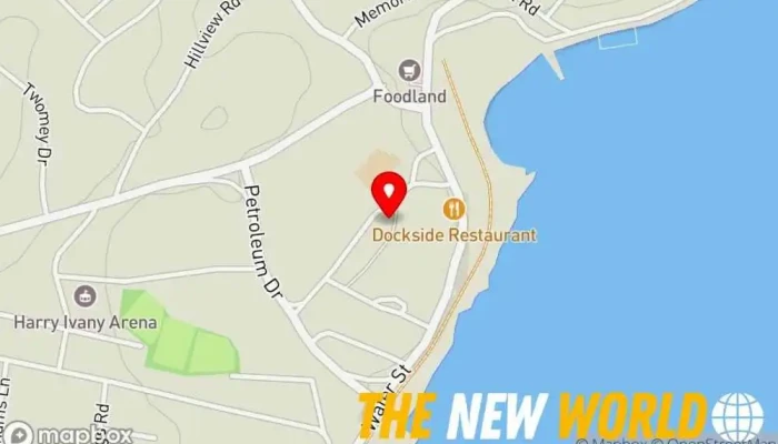 map of Roberts Document Services Process server in Botwood
