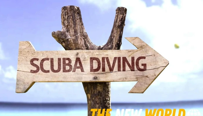 Scuba Dive Marketing - Greenwood