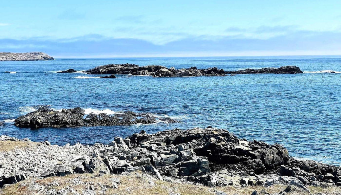 Sealers Memorial -  Latest - Elliston